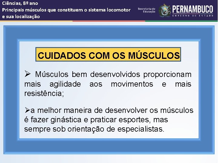 Ciências, 8º ano Principais músculos que constituem o sistema locomotor e sua localização CUIDADOS