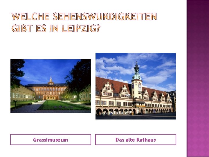 Grassimuseum Das alte Rathaus 
