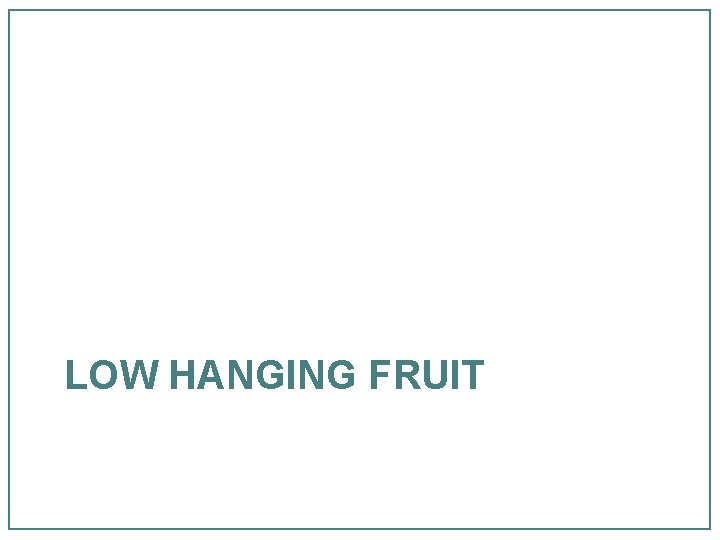 LOW HANGING FRUIT 