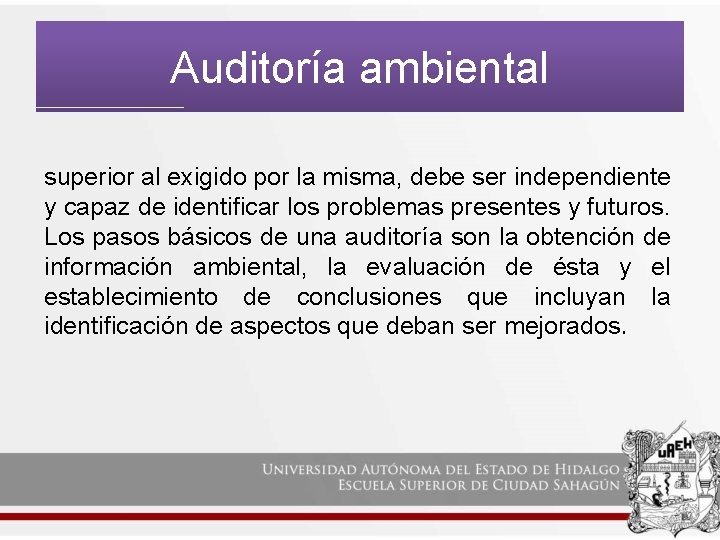 Auditoría ambiental superior al exigido por la misma, debe ser independiente y capaz de