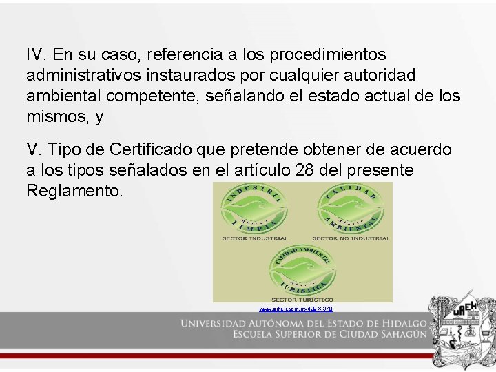 IV. En su caso, referencia a los procedimientos administrativos instaurados por cualquier autoridad ambiental