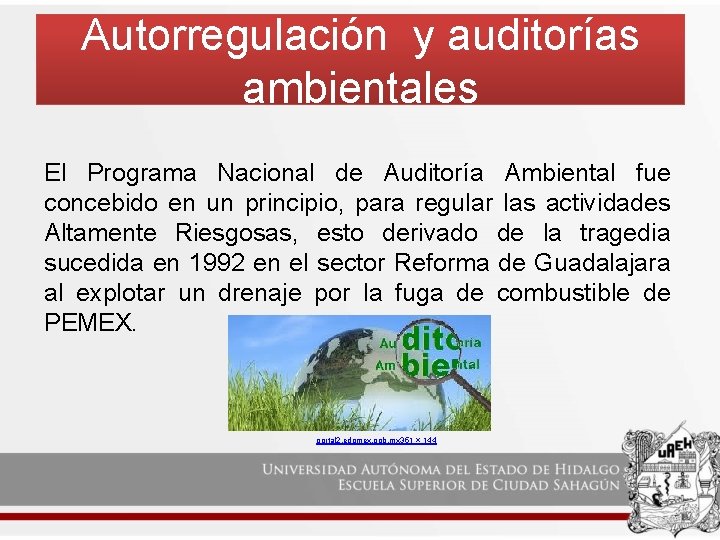 Autorregulación y auditorías ambientales El Programa Nacional de Auditoría Ambiental fue concebido en un