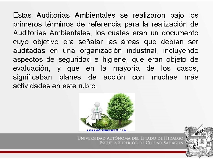 Estas Auditorías Ambientales se realizaron bajo los primeros términos de referencia para la realización