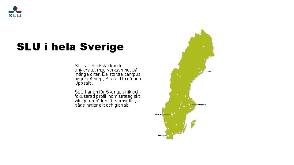 SLU i hela Sverige SLU är ett rikstäckande universitet med verksamhet på många orter.