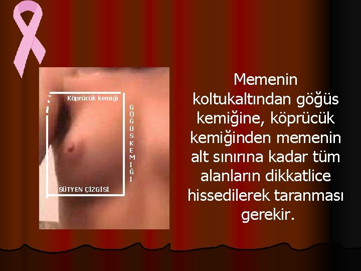 Köprücük kemiği G Ö Ğ Ü S K E M İ Ğ İ SÜTYEN