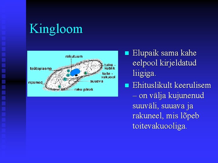 Kingloom n n Elupaik sama kahe eelpool kirjeldatud liigiga. Ehituslikult keerulisem – on välja