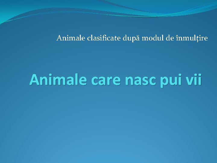 Animale clasificate după modul de înmulţire Animale care nasc pui vii 