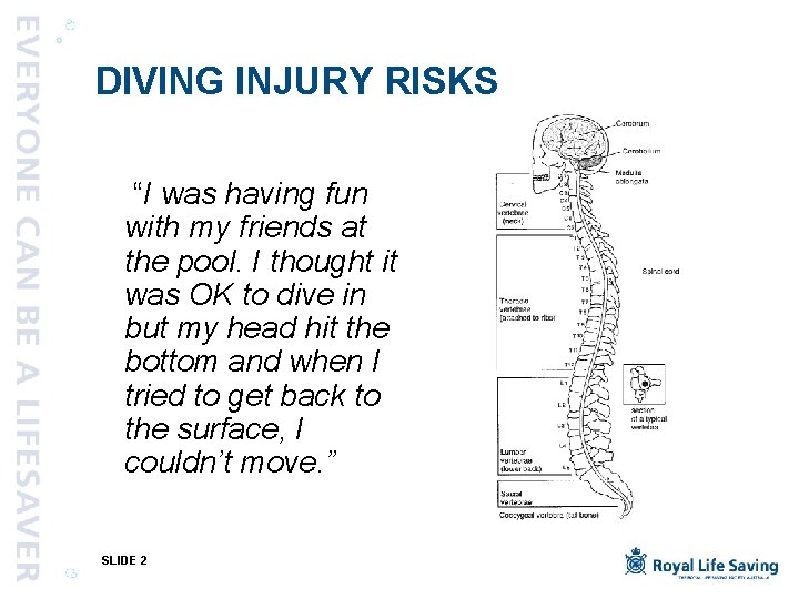 DIVING INJURY RISKS “I was having fun with my friends at the pool. I