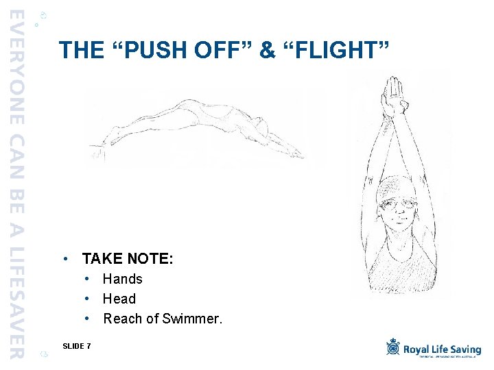 THE “PUSH OFF” & “FLIGHT” • TAKE NOTE: • Hands • Head • Reach