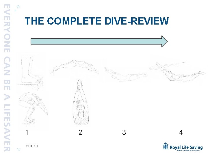 THE COMPLETE DIVE-REVIEW 1 SLIDE 9 2 3 4 