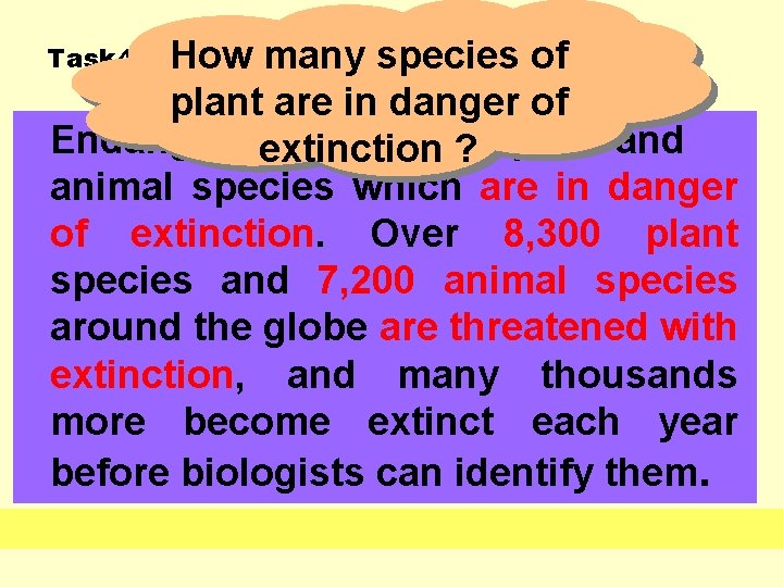 Task 4: Answer the questions: Paragraph 1: How many species of plant are in