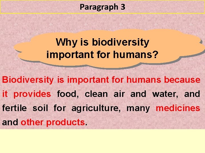 Paragraph 3 Why is biodiversity important for humans? Biodiversity is important for humans because