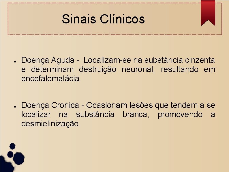 Sinais Clínicos ● ● Doença Aguda - Localizam-se na substância cinzenta e determinam destruição