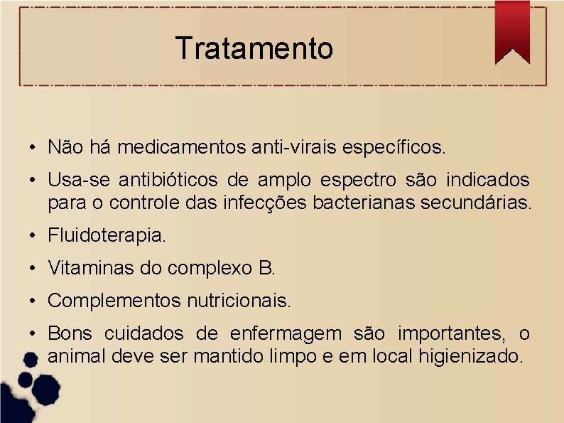 Tratamento • Não há medicamentos anti-virais específicos. • Usa-se antibióticos de amplo espectro são