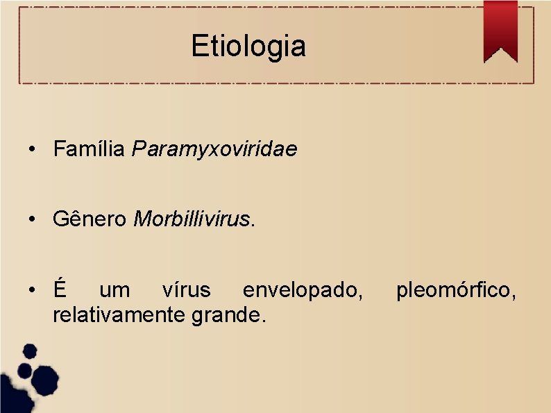 Etiologia • Família Paramyxoviridae • Gênero Morbillivirus. • É um vírus envelopado, relativamente grande.