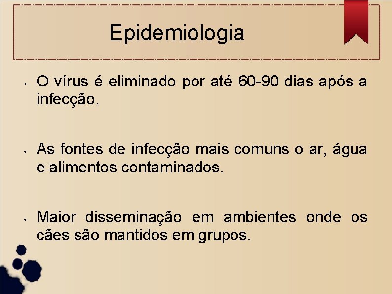 Epidemiologia • • • O vírus é eliminado por até 60 -90 dias após