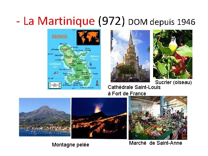 - La Martinique (972) DOM depuis 1946 Sucrier (oiseau) Cathédrale Saint-Louis à Fort de