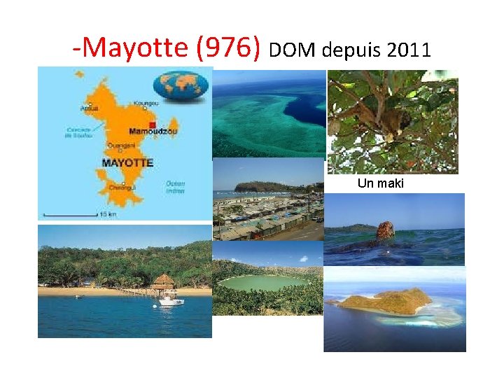 -Mayotte (976) DOM depuis 2011 Un maki 