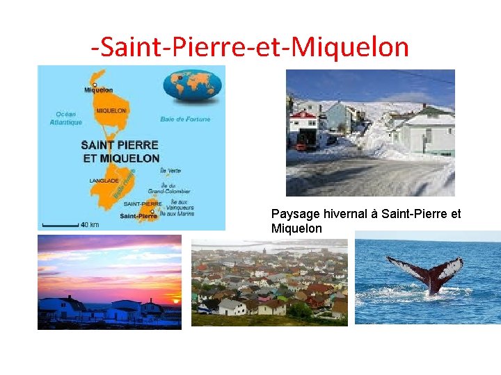 -Saint-Pierre-et-Miquelon Paysage hivernal à Saint-Pierre et Miquelon 