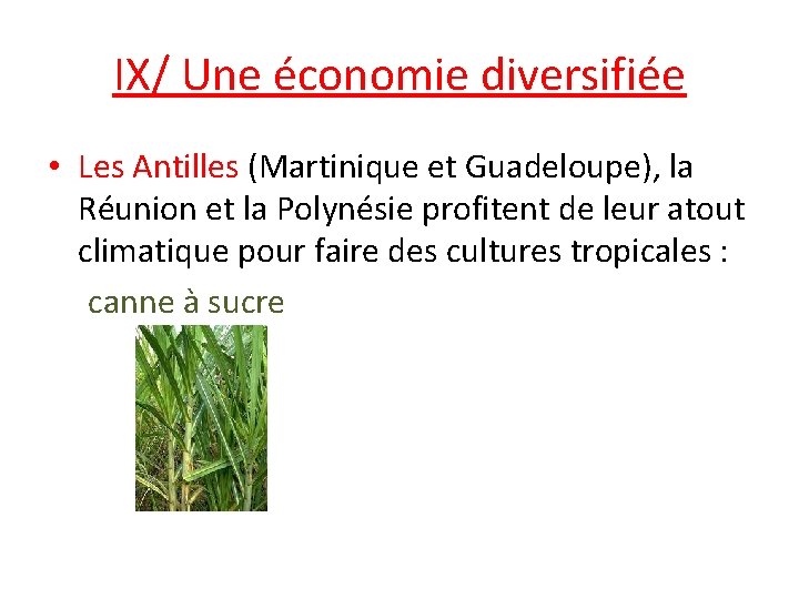 IX/ Une économie diversifiée • Les Antilles (Martinique et Guadeloupe), la Réunion et la