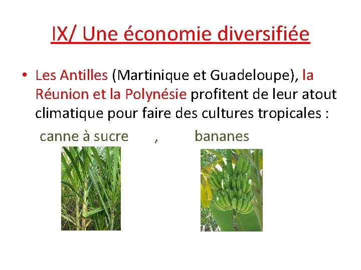 IX/ Une économie diversifiée • Les Antilles (Martinique et Guadeloupe), la Réunion et la