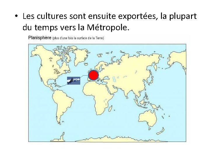  • Les cultures sont ensuite exportées, la plupart du temps vers la Métropole.