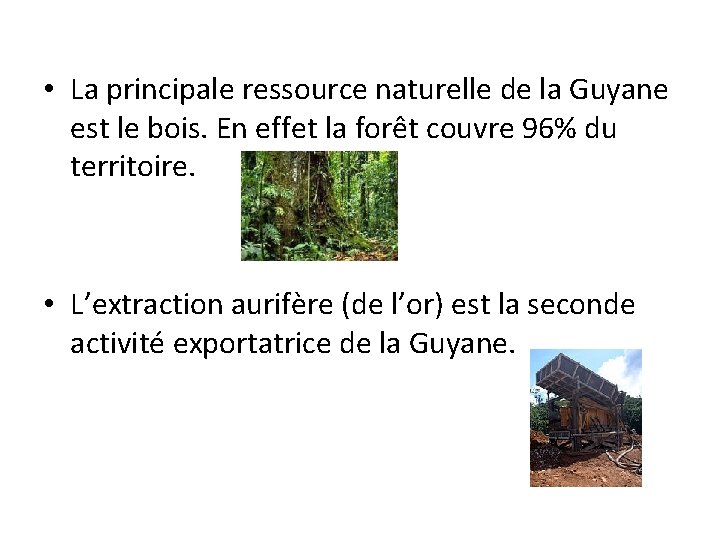  • La principale ressource naturelle de la Guyane est le bois. En effet