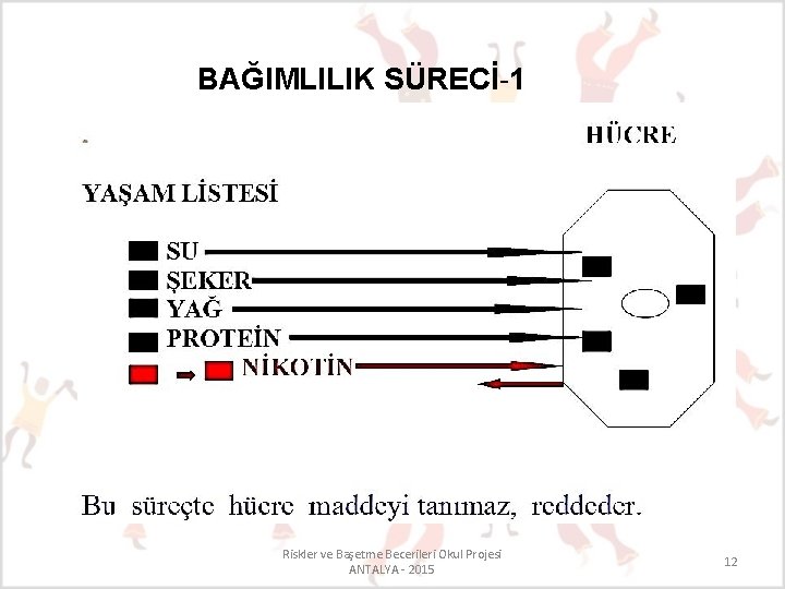 BAĞIMLILIK SÜRECİ-1 Riskler ve Başetme Becerileri Okul Projesi ANTALYA - 2015 12 