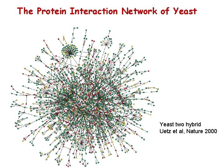 The Protein Interaction Network of Yeast two hybrid Uetz et al, Nature 2000 