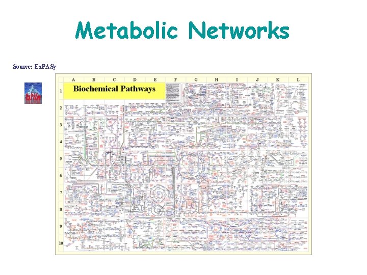 Metabolic Networks Source: Ex. PASy 