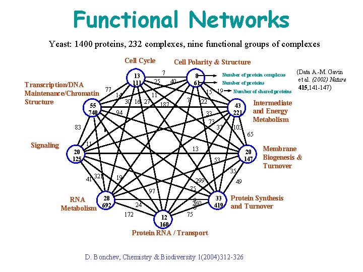 Functional Networks Yeast: 1400 proteins, 232 complexes, nine functional groups of complexes Cell Cycle