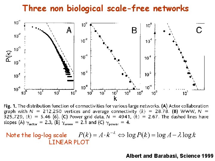 Three non biological scale-free networks Note the log-log scale LINEAR PLOT Albert and Barabasi,