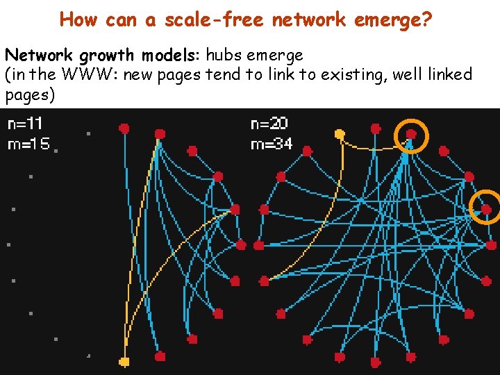 How can a scale-free network emerge? Network growth models: hubs emerge (in the WWW: