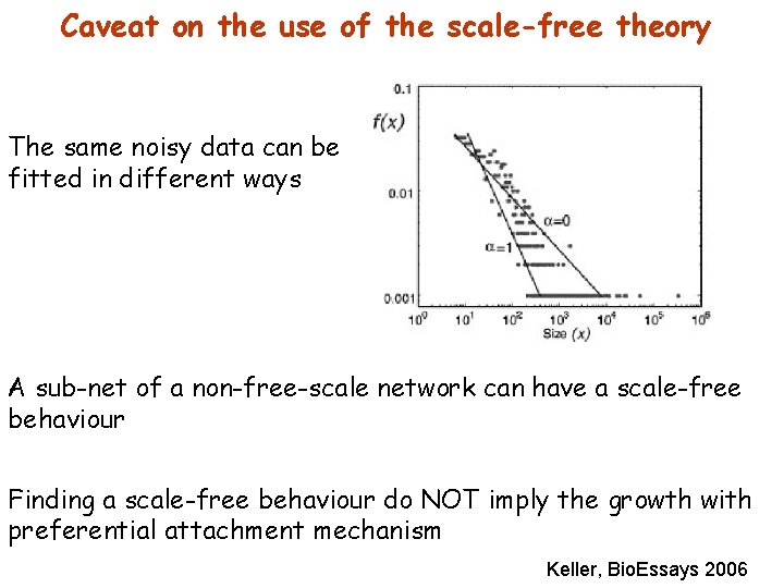 Caveat on the use of the scale-free theory The same noisy data can be