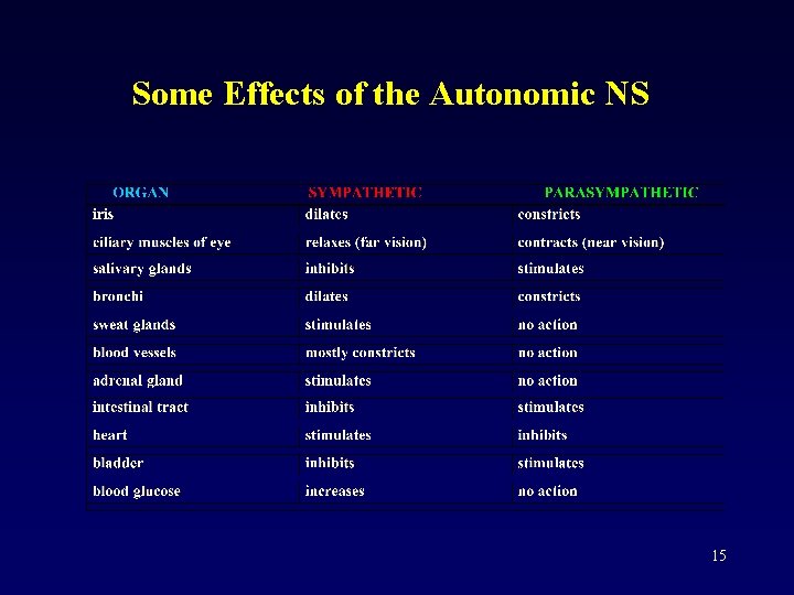 Some Effects of the Autonomic NS 15 