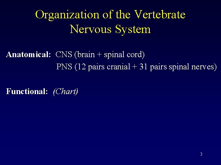 Organization of the Vertebrate Nervous System Anatomical: CNS (brain + spinal cord) PNS (12