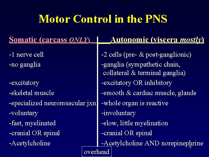 Motor Control in the PNS Somatic (carcass ONLY) ONLY -1 nerve cell -no ganglia