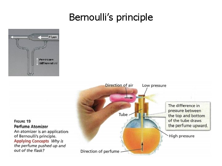 Bernoulli’s principle 