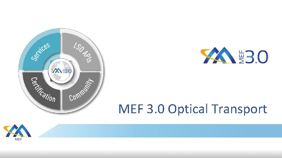 MEF 3. 0 Optical Transport 