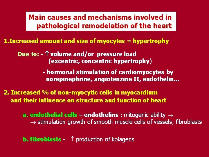 Main causes and mechanisms involved in pathological remodelation of the heart 1. Increased amount
