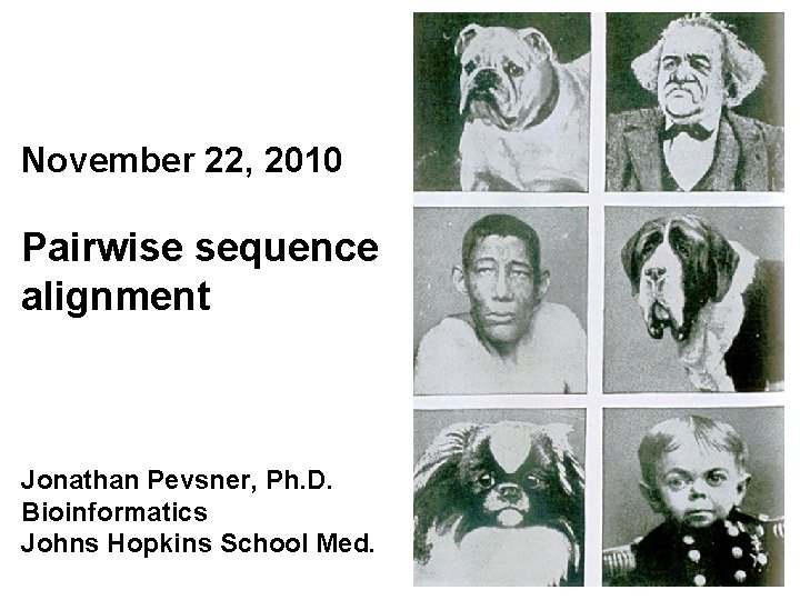 November 22, 2010 Pairwise sequence alignment Jonathan Pevsner, Ph. D. Bioinformatics Johns Hopkins School