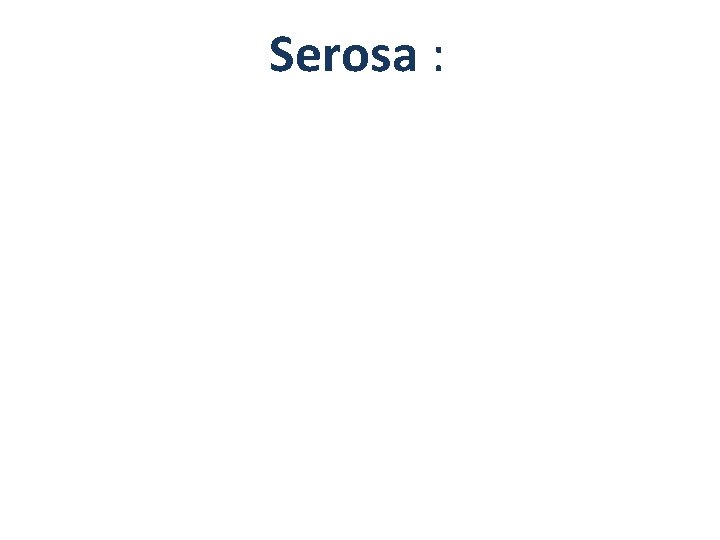 Serosa : 