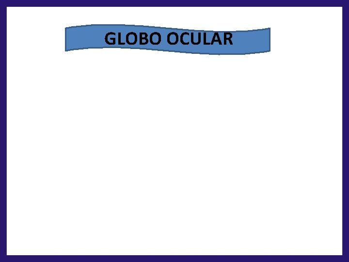 GLOBO OCULAR 