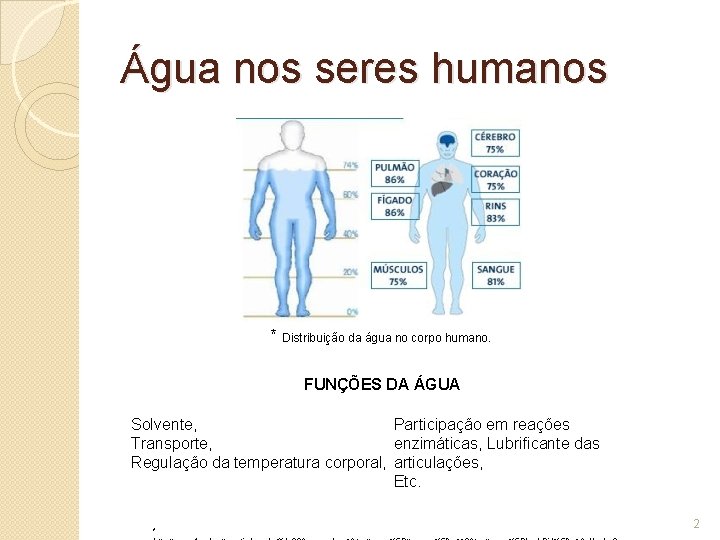 Água nos seres humanos * Distribuição da água no corpo humano. FUNÇÕES DA ÁGUA