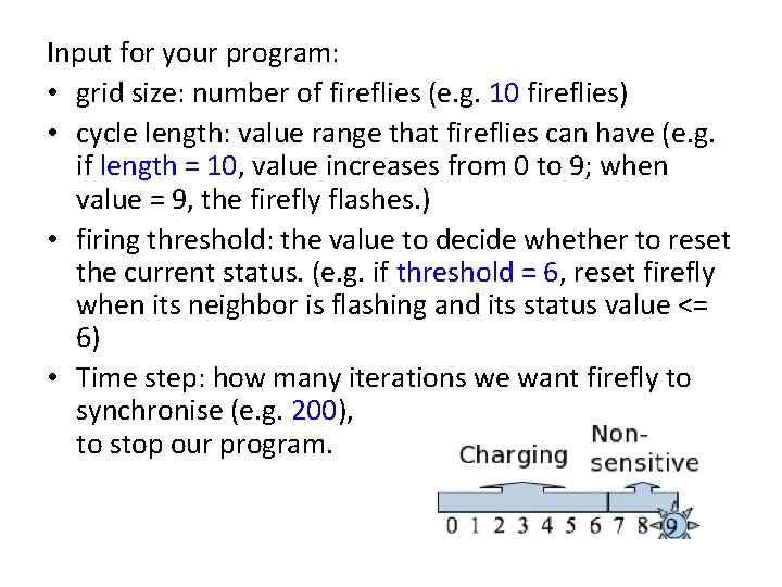 Input for your program: • grid size: number of fireflies (e. g. 10 fireflies)