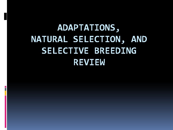 ADAPTATIONS, NATURAL SELECTION, AND SELECTIVE BREEDING REVIEW 