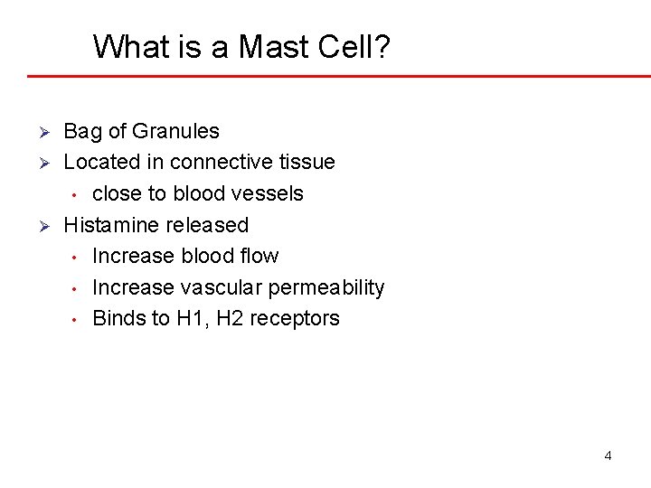 What is a Mast Cell? Ø Ø Ø Bag of Granules Located in connective