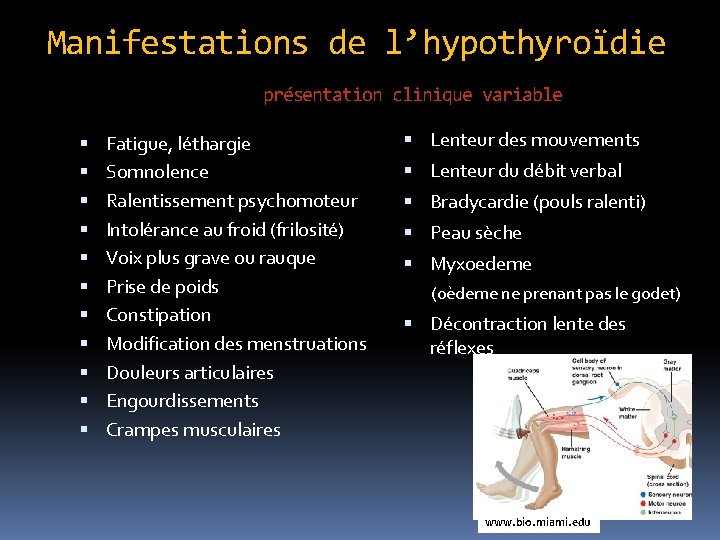 Manifestations de l’hypothyroïdie présentation clinique variable Fatigue, léthargie Somnolence Ralentissement psychomoteur Intolérance au froid