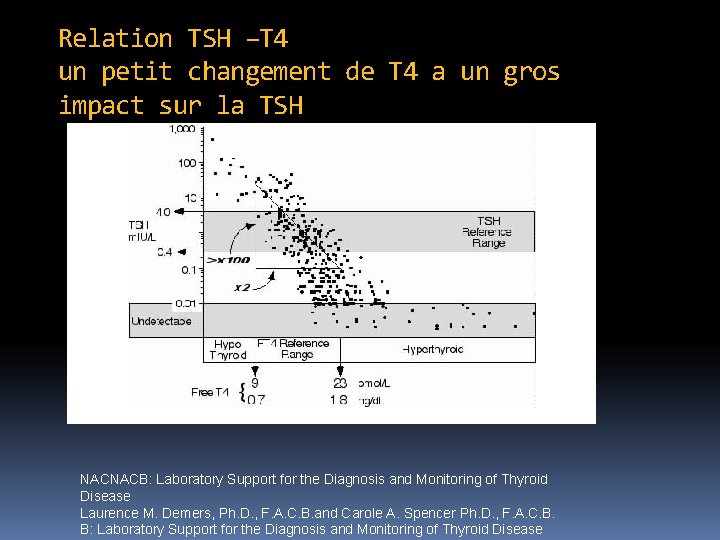 Relation TSH –T 4 un petit changement de T 4 a un gros impact
