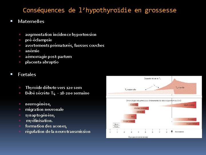 Conséquences de l’hypothyroïdie en grossesse Maternelles augmentation incidence hypertension pré-éclampsie avortements prématurés, fausses couches